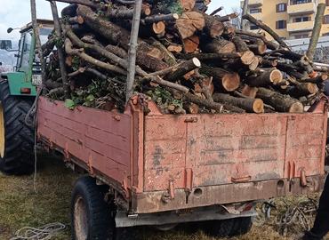 legna dà ardere sfusa o in bancale