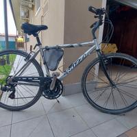 bicicletta da passeggio