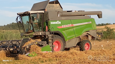 Mietitrebbia fend 5255l