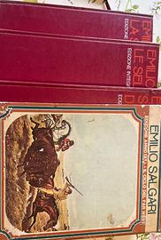 Raccolta emilio salgari