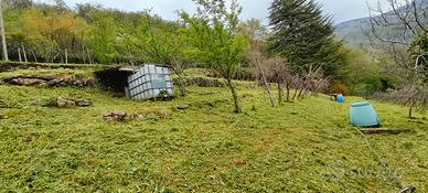 Terreno pascolo