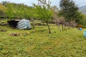 Terreno pascolo