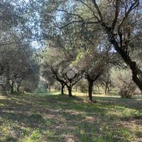 TERRENO A MONTESILVANO