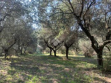 TERRENO A MONTESILVANO