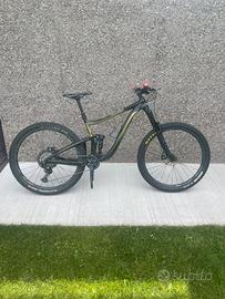 Giant Reign 29 2 2020