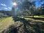 Immagine 14