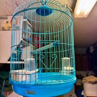 Gabbia per uccelli azzurra