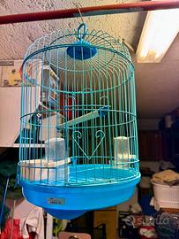 Gabbia per uccelli azzurra
