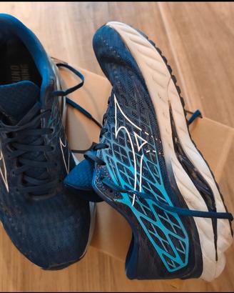 Scarpe Mizuno Wave Inspire 43 25E