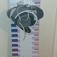 snowboard  e scarponi