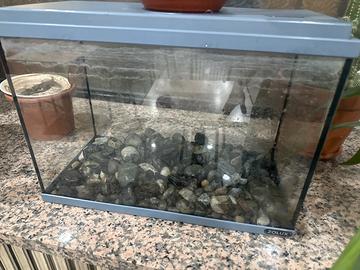 40x25Un acquario integro, senza alcun danno