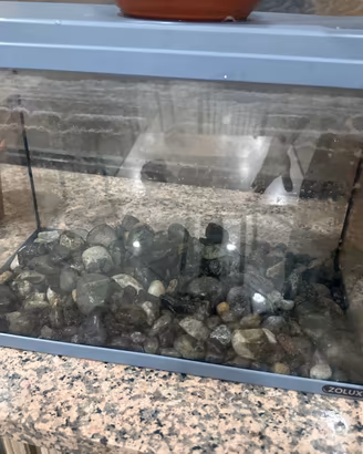 40x25Un acquario integro, senza alcun danno