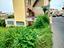 Immagine 12