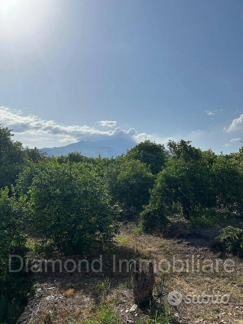Terreno 10.000mq tra Pozzillo e Stazzo - Acireale - Vista 5