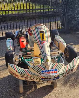 Tony kart 60