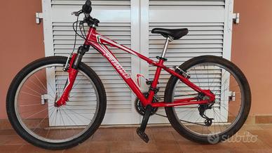 Specialized hotrock 