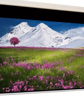 Telo per proiettore.