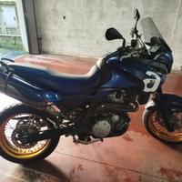 Aprilia Pegaso 650 - 2007