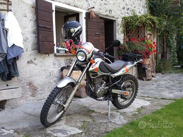 Beta Alp 4 del 2007