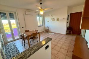 Appartamento - Alessandria