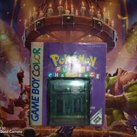 Pokémon Puzzle Challenge - Nintendo Game boy color
