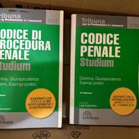 codice penale e procedura penale 2016/2017