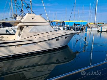 Natante a motore arciere 33