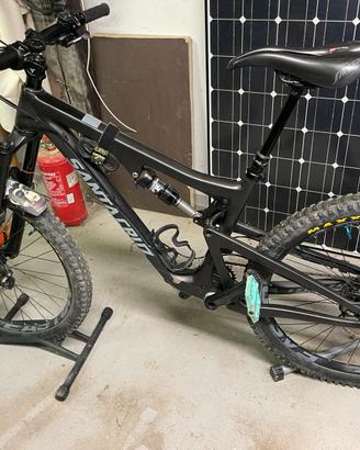 Santa Cruz Bronson