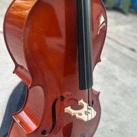 Violoncello