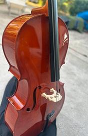 Violoncello