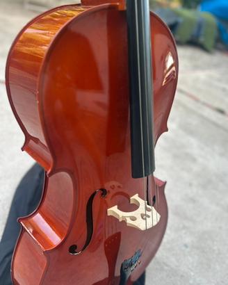 Violoncello