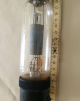 VALVOLA TERMOIONICA ZENITH W69 – DA COLLEZIONE -VI