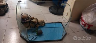 tartarughiera con pompa elettrica