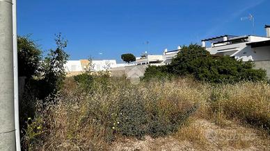 TER. RESIDENZIALE A TAVIANO