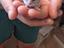 Immagine 1
