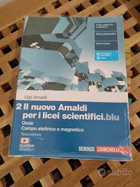 il nuovo Amaldi per i licei scientifici.blu 2