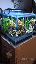 2 Acquari 80 e 50 litri 