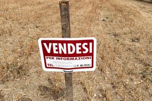 terreno agricolo 