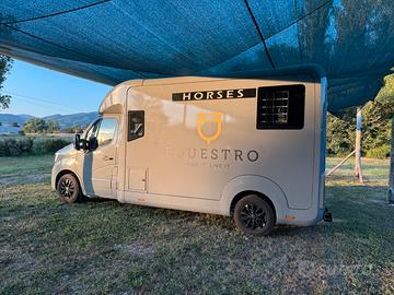 Van trasporto cavalli Renault Master STX