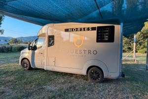 Van trasporto cavalli Renault Master STX