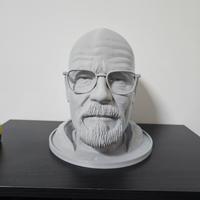 Stampa 3D busto di Whalter white, PETG