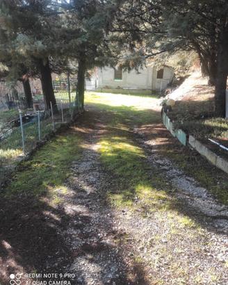 Rustico 65 mq + 6 Mila MT terreno