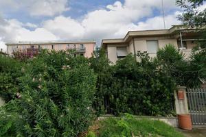 Appartamento - Collesalvetti