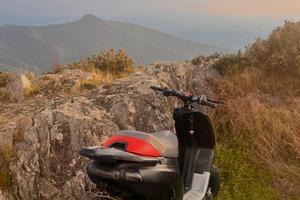gilera typhoon trattabile
