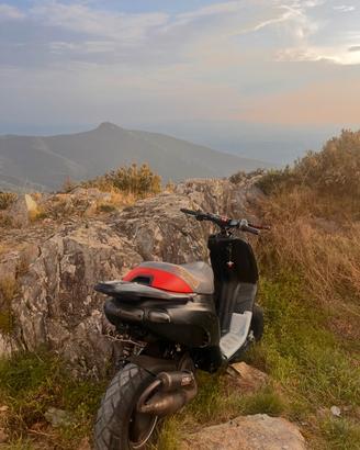 gilera typhoon trattabile