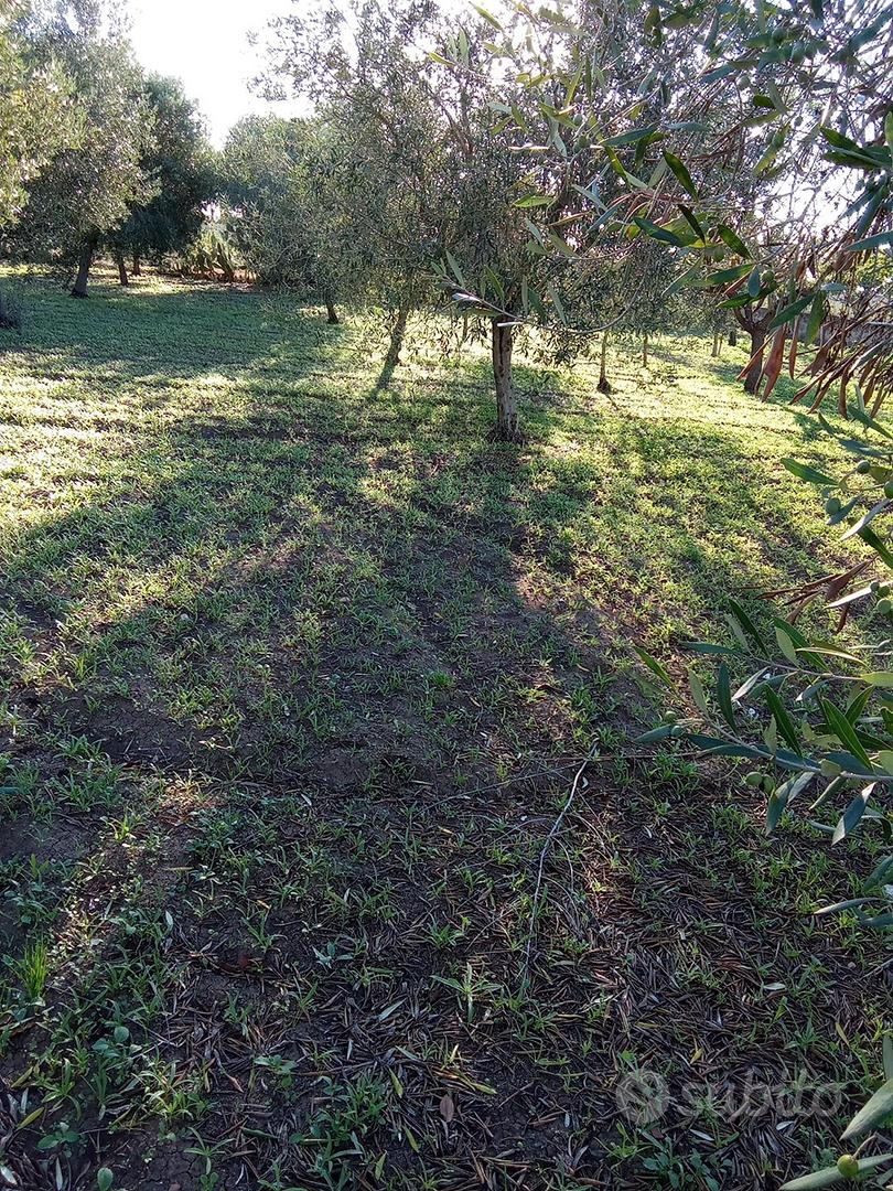 Terreno agricolo - Vista 3