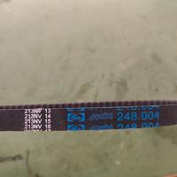 cinghia Polini 248.004