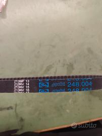 cinghia Polini 248.004