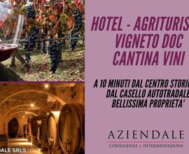 Hotel/agriturismo/vigneto doc e cantina vini