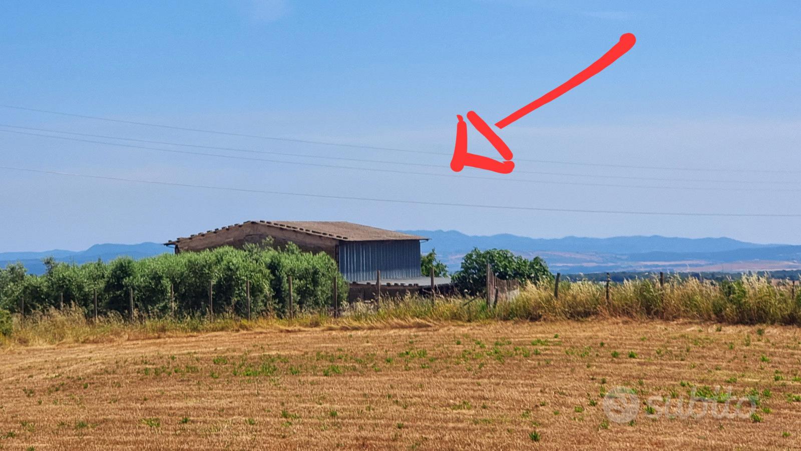 Terreno 3 ettari - Vista 5